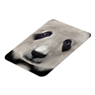 Cute Panda Bear Kawaii Animal Lover Perfect Gift Magnet