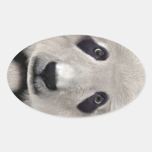 Cute Panda Bear Kawaii Animal Lover Perfect Gift Oval Sticker