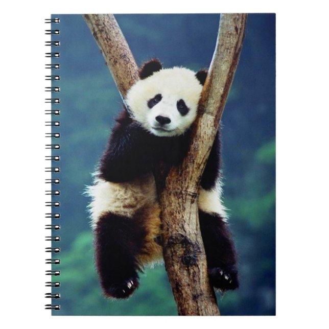 Cute Panda Bear Notebook (Front)