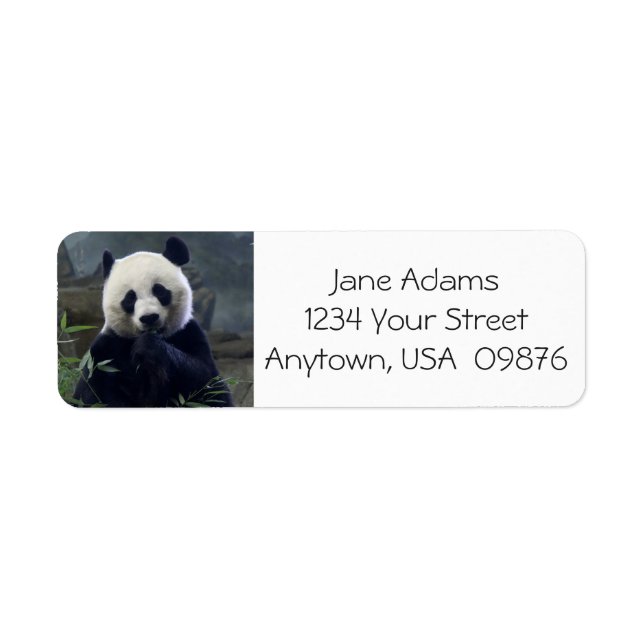 Cute Panda Bear, Personalized (Front)