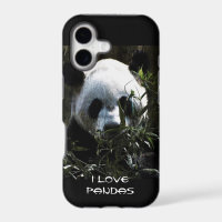 Cute Panda Bear with tasty Bamboo Leaves