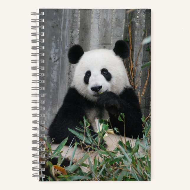 Cute panda notebook (Front)