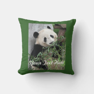 Cute Panda, Solid Green Back, Name, Square Throw Pillow