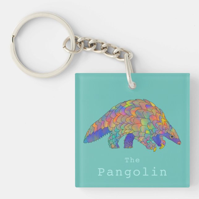 Cute Pangolin colourful illustration  Keychain (Front)