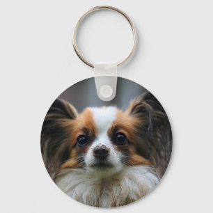Cute papillon dog keychain