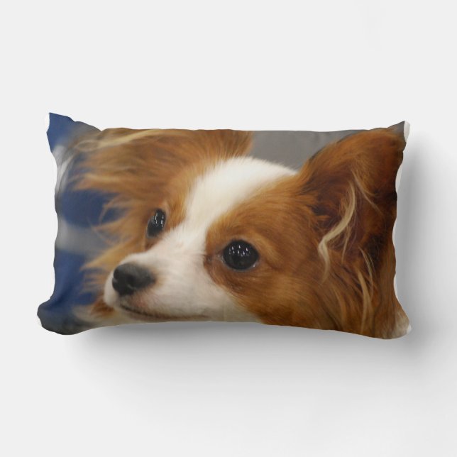 Cute Papillon Dog Lumbar Pillow (Front)