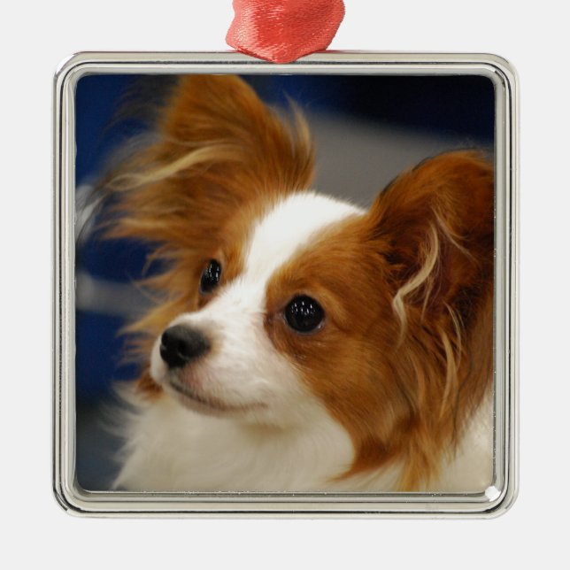 Cute Papillon Dog Metal Ornament (Front)