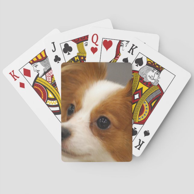 Cute Papillon Dog Playing Cards (Back)