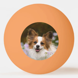 Cute Papillon Spaniel Head Photo for Dog Lovers Ping Pong Ball