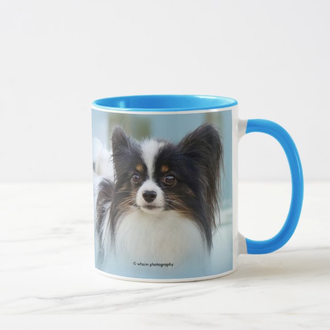 Cute Papillon Toy Spaniel Dog at the Dock Mug (Right)