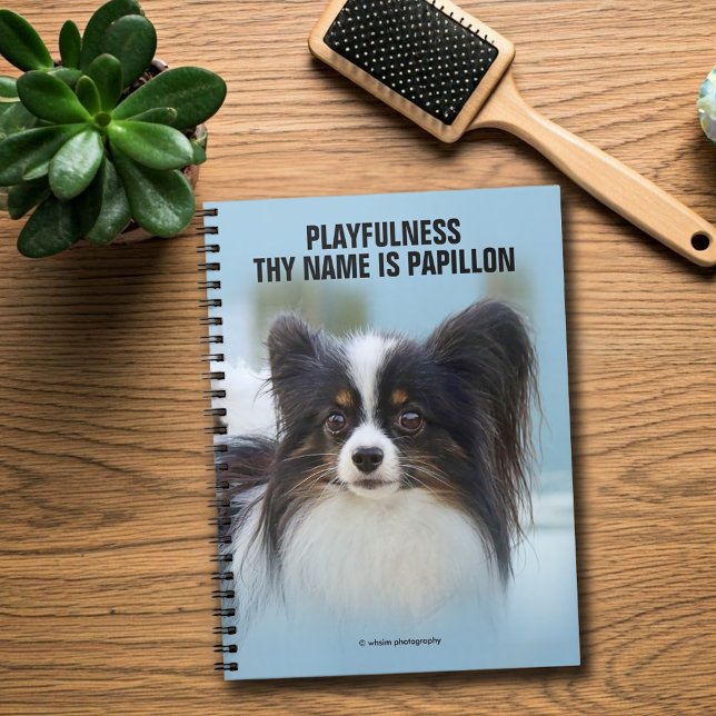 Cute Papillon Toy Spaniel Dog at the Dock Notebook (Cute Papillon at the Dock Journal Cover Photo)