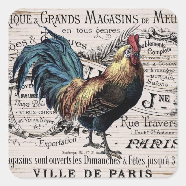 Cute Paris rooster any purpose sticker (Front)