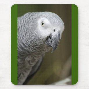 cute parrot mouse pad