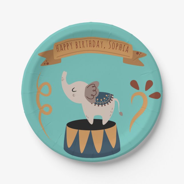 Cute Pastel Carnival Birthday Theme Paper Plate (Front)