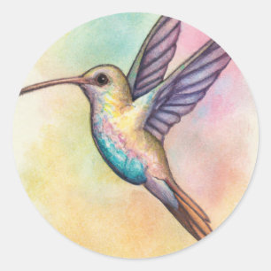 Cute pastel shades hummingbird in flight classic round sticker