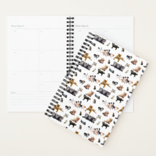 Cute pattern with photographs of Cats and kittens Planner
