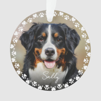 Cute Paw Prints and Hearts Frame Custom Pet Photo Ornament