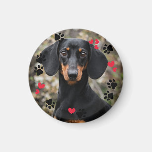 Cute Paw Prints & Red Hearts Pet Photo Magnet