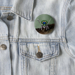 Cute Peacock Spider Digital Art 2 Inch Round Button