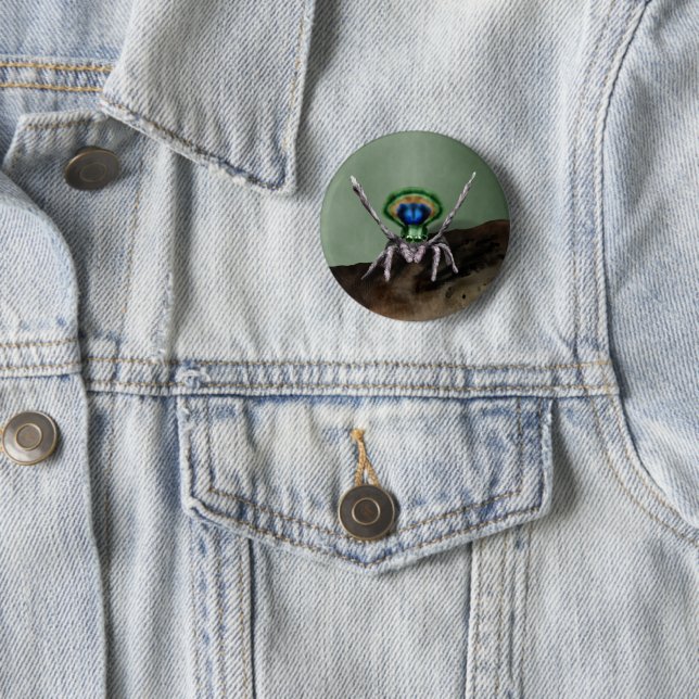 Cute Peacock Spider Digital Art 2 Inch Round Button (In Situ)