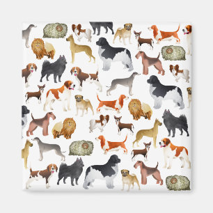 Cute Pedigree Pet Dog Wallpaper Design Magnet