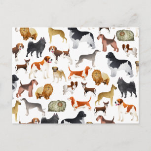 Cute Pedigree Pet Dog Wallpaper Design Postcard