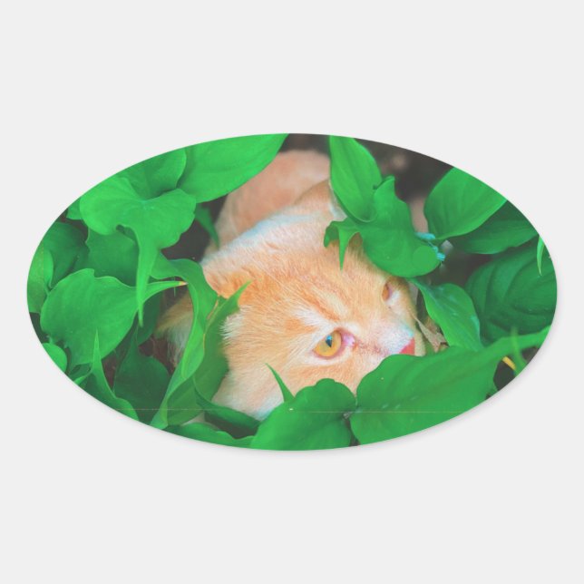 Cute peeking cat phot print oval sticker (Front)