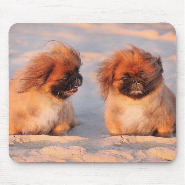Cute Pekingese Dogs Mouse Pad (Front)