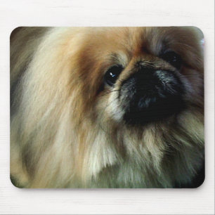 Cute Pekingese Mouse Pad