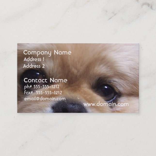 Cute Pekingese Puppy Business Cards (Front)