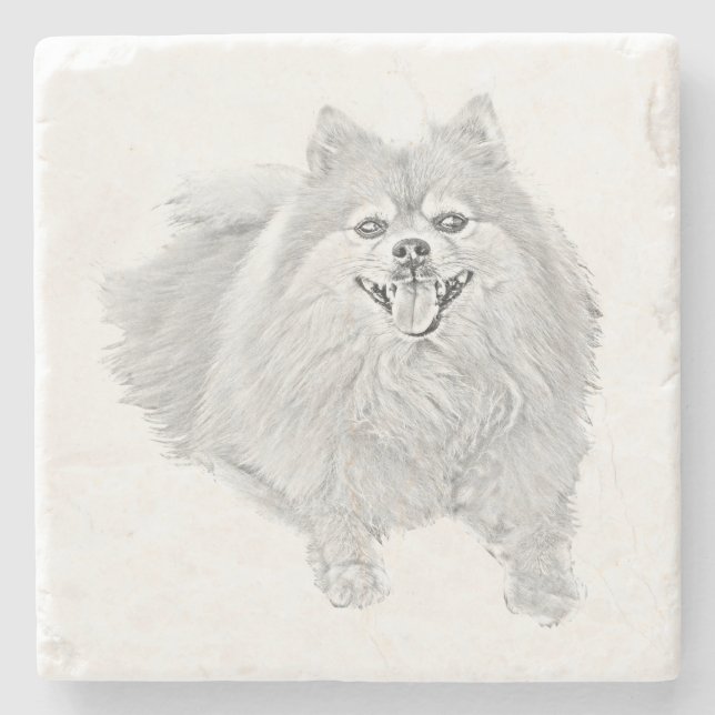 Cute Pencil Pomeranian Marble Coaster (Front)