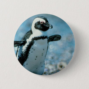 Cute Penguin 2 Inch Round Button