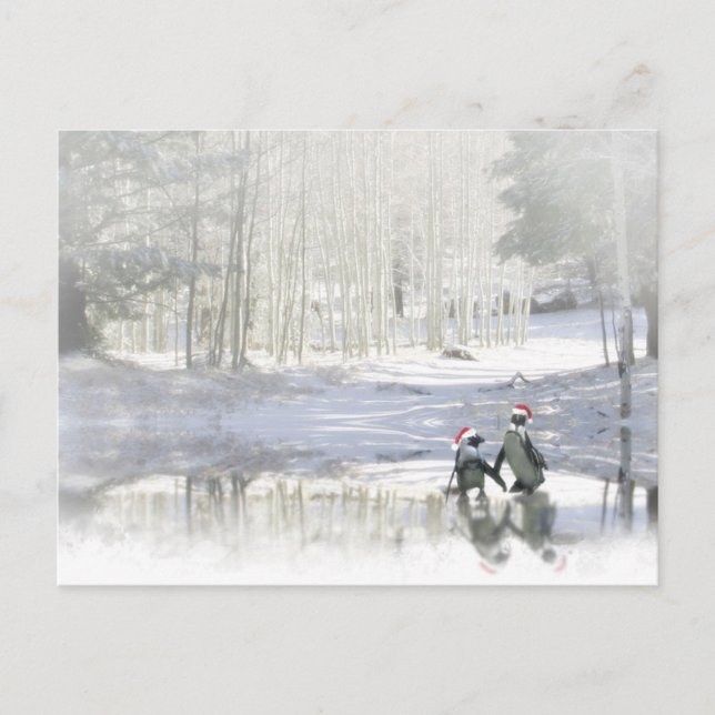 Cute Penguin Christmas Postcard (Front)