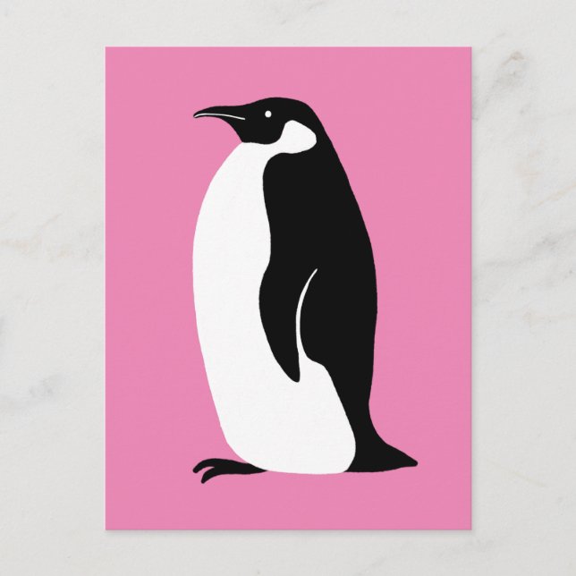 Cute Penguin Pink Black White Postcard (Front)