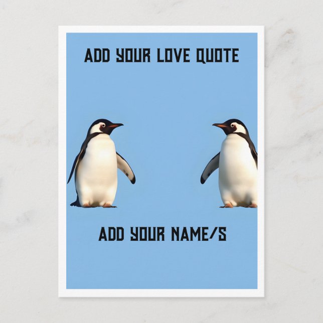 Cute Penguins  Postcard (Front)