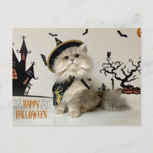 Cute Persian Cat in Halloween Costume Holiday Postcard