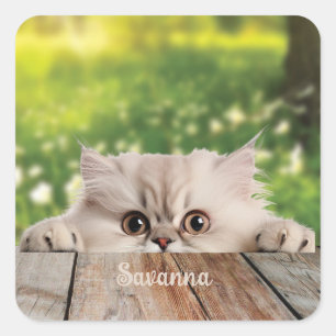 Cute Persian Peeking Cat  Square Sticker