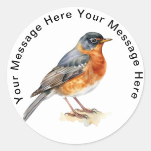 Cute Personalised Bird Stickers American Robin 