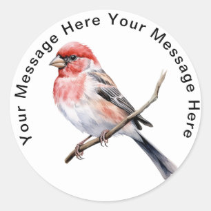 Cute Personalised Songbird Stickers Cassin Finch