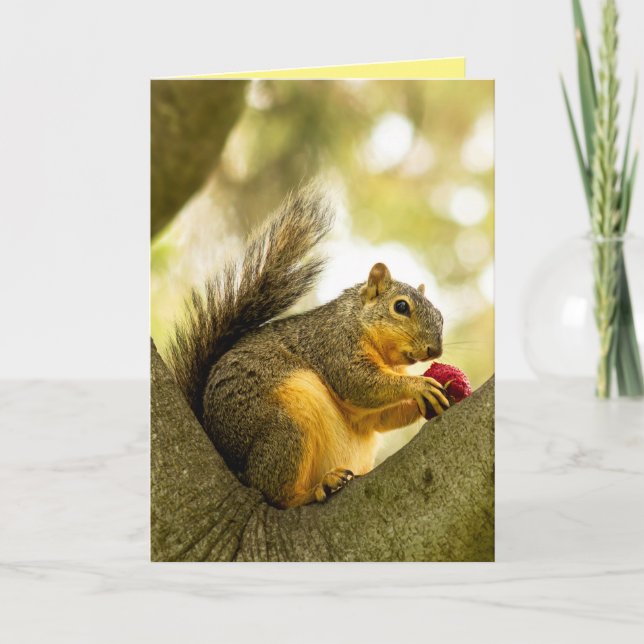 Cute Personalized Customizable Squirrel Card (Front)