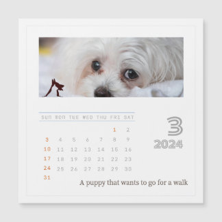 Cute Personalized Pet Lovers 2024 Photo Calendar
