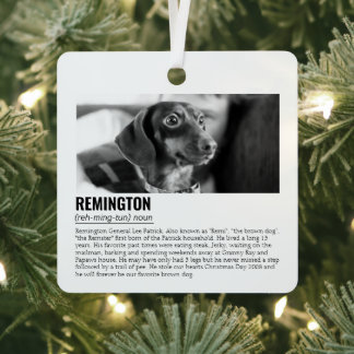 Cute Personalized Pet Metal Ornament