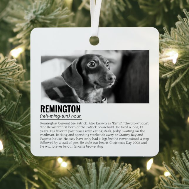Cute Personalized Pet Metal Ornament (Insitu)