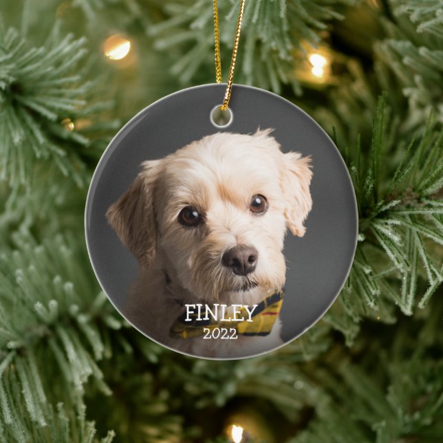 Cute Personalized Photo Pet Christmas Ceramic Ornament (Tree)