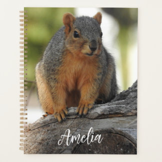 Cute Personalized Squirrel Planner