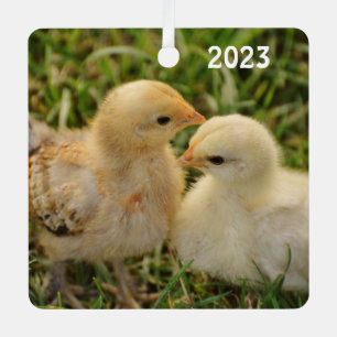 Cute Pet Baby Chicks Metal Ornament