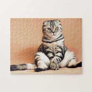 Cute Pet Cat Photo Jigsaw Puzzle