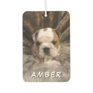 Cute Pet Dog Cat Name Custom Photo Air Freshener