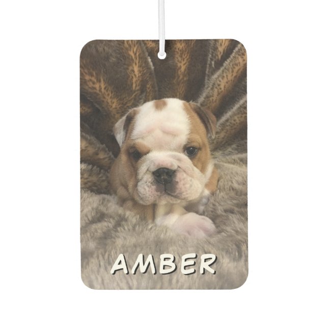 Cute Pet Dog Cat Name Custom Photo Air Freshener (Front)