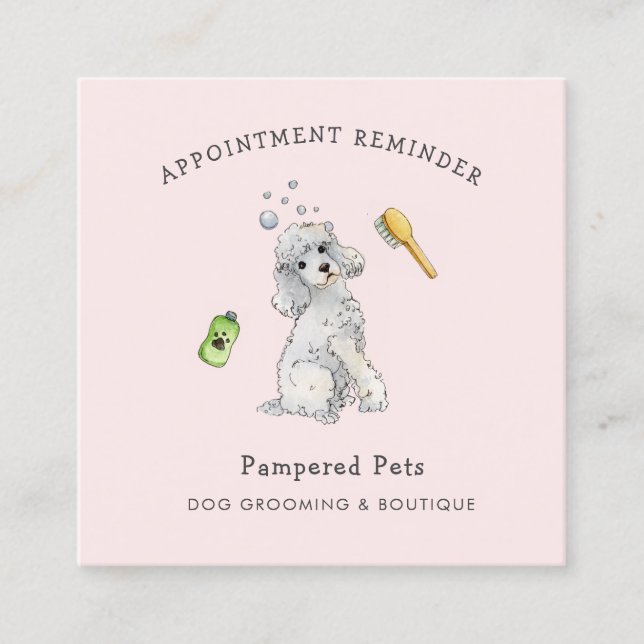 Cute Pet groomer Appointment reminder  Square Business Card (Front)